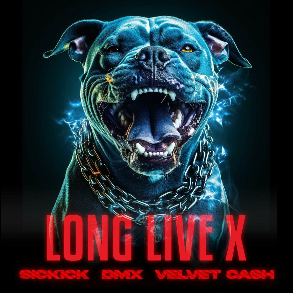 MP3: Sickick Ft. DMX & Velvet Cash – Long Live X Latest Songs