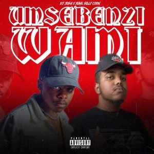 DJ JOSH & Yung Silly Coon – Umsebenzi Wami Latest Songs